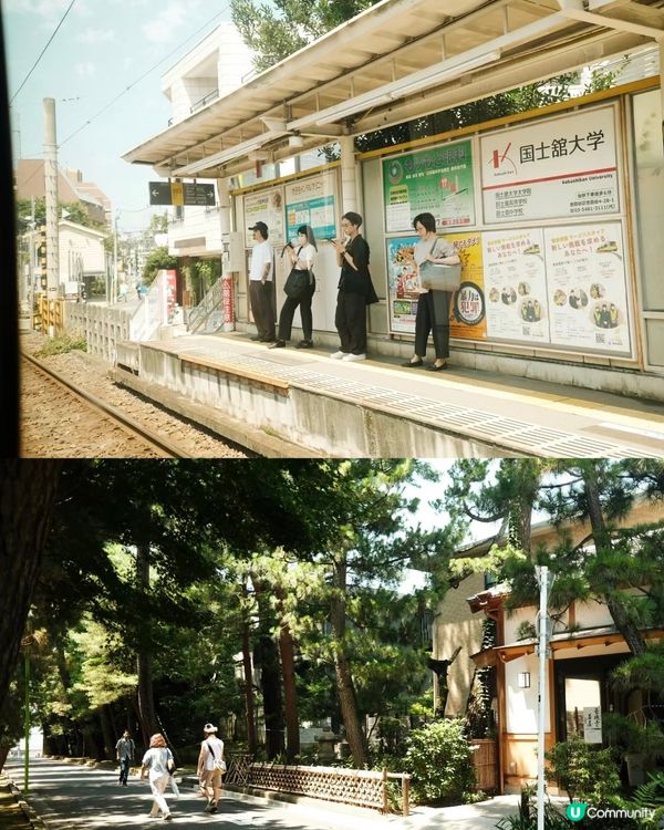 🇯🇵東京必去小眾景點 好多招財貓😻