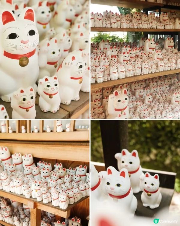 🇯🇵東京必去小眾景點 好多招財貓😻