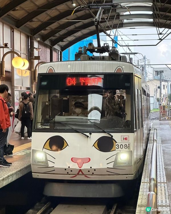 🇯🇵東京必去小眾景點 好多招財貓😻