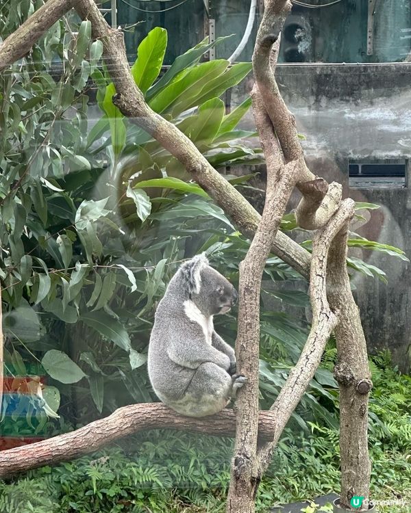 台灣動物園