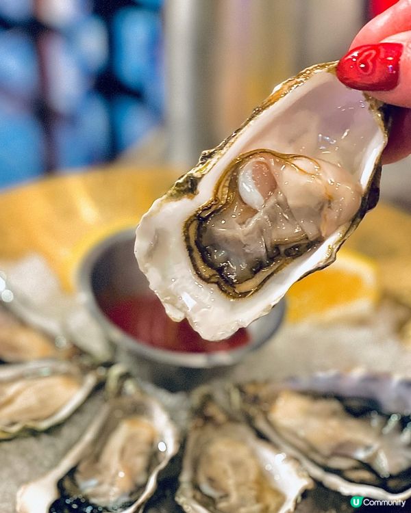 旺角新派韓國菜，特價生蠔超扺食❗️❗️