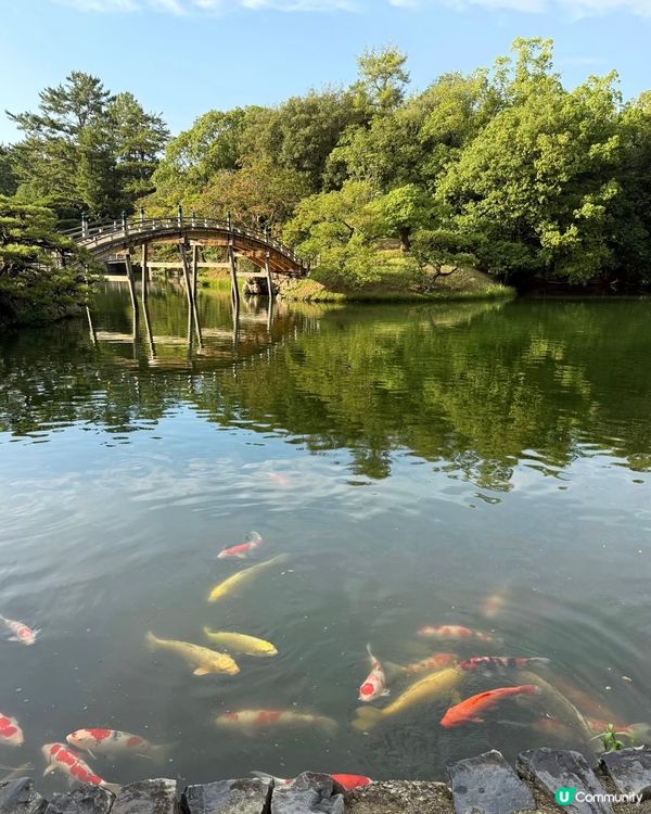 高松必去！米芝蓮三星栗林公園🌳🌸