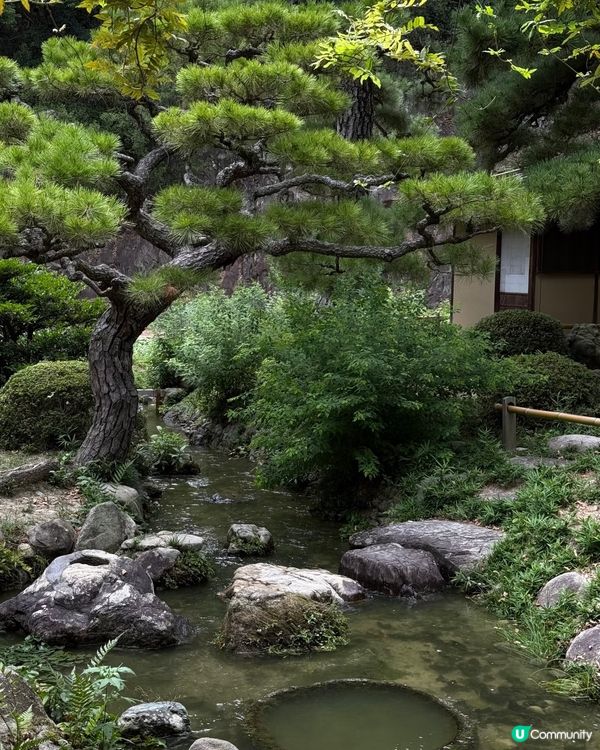 高松必去！米芝蓮三星栗林公園🌳🌸