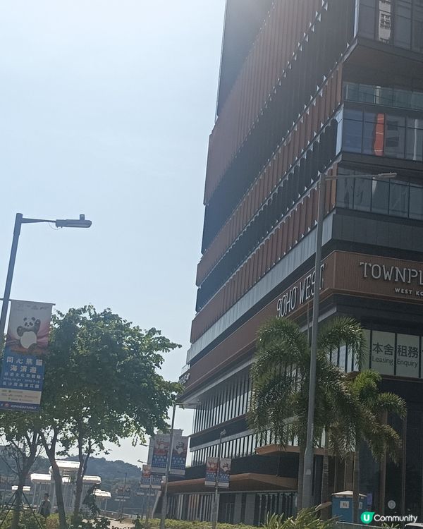 期間限定熊貓仔美食(至20241130)