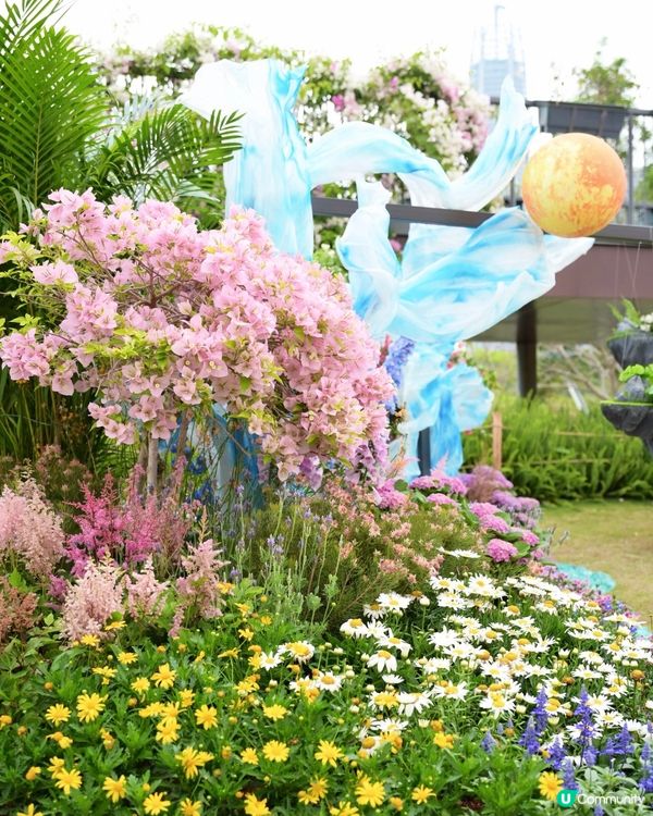 週末深圳好去處🌸免費賞花睇夠本 ➡️