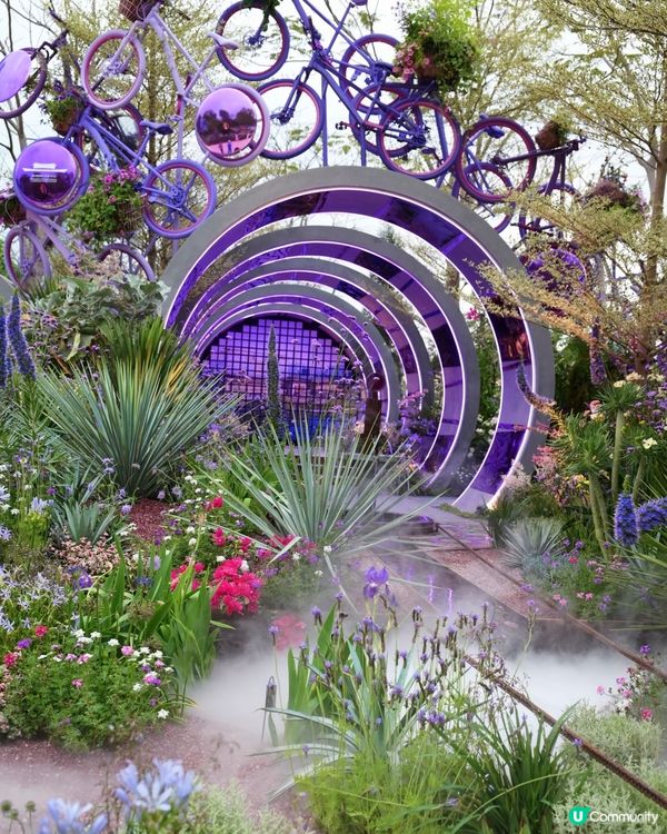 週末深圳好去處🌸免費賞花睇夠本 ➡️