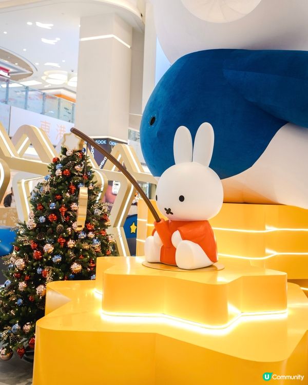 / 🐰𝙢𝙞𝙛𝙛𝙮𝟳𝟬周年啦🎉 /