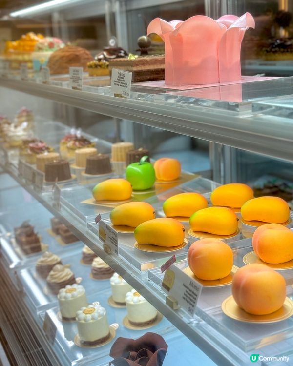 Tony Wong 九月新品❤️