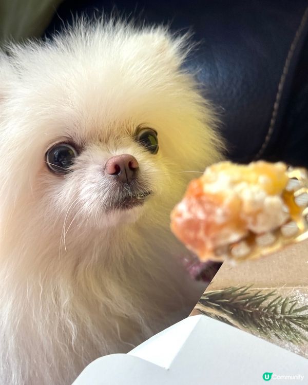 Tony Wong 九月新品❤️