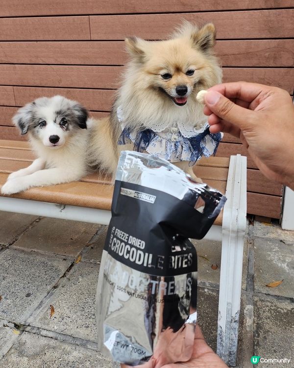 澳洲凍乾食品限定優惠