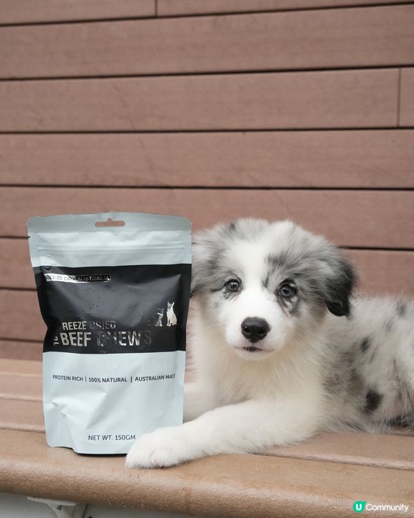 澳洲凍乾食品限定優惠