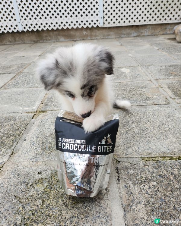 澳洲凍乾食品限定優惠