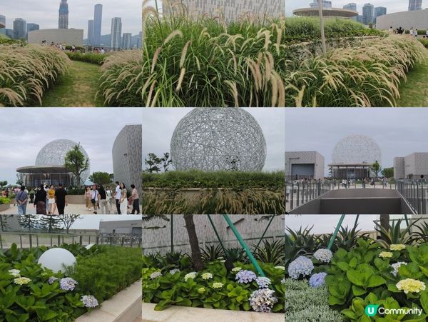 深圳全新巨無霸商場K11 ECOAST一日遊 商場有馬騎！