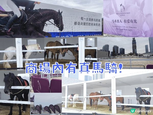 深圳全新巨無霸商場K11 ECOAST一日遊 商場有馬騎！