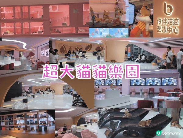 深圳全新巨無霸商場K11 ECOAST一日遊 商場有馬騎！