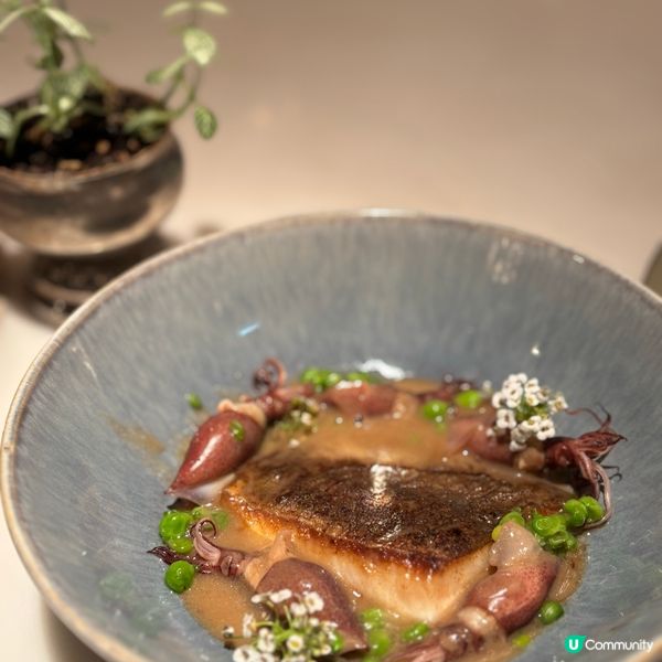 灣仔法式打卡餐廳📸  生日/婚宴首選🎉