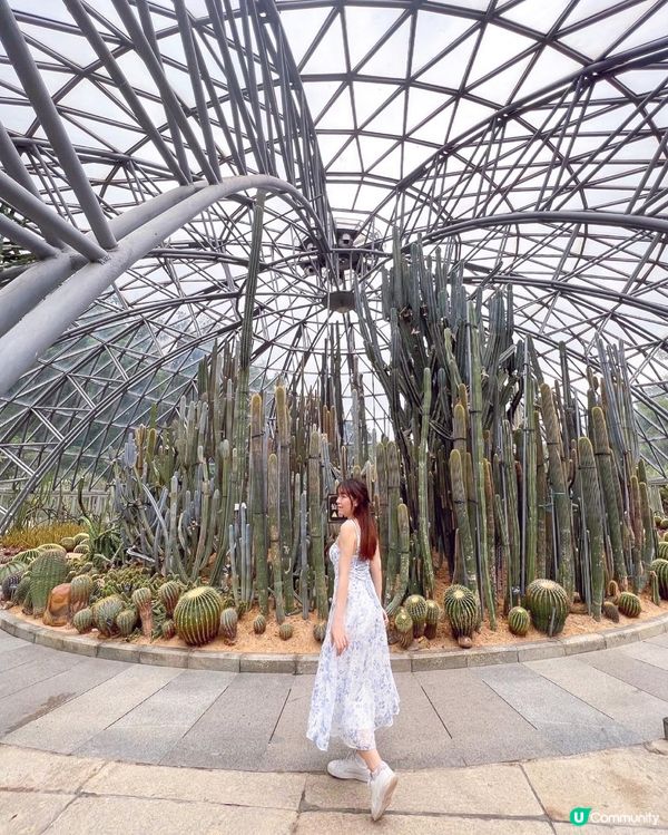 💚深圳仙湖植物園打卡攻略🌟