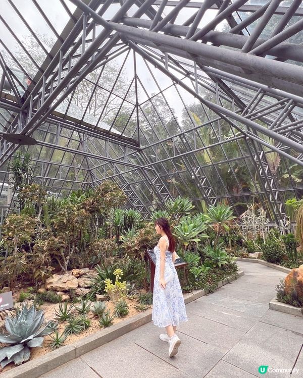 💚深圳仙湖植物園打卡攻略🌟