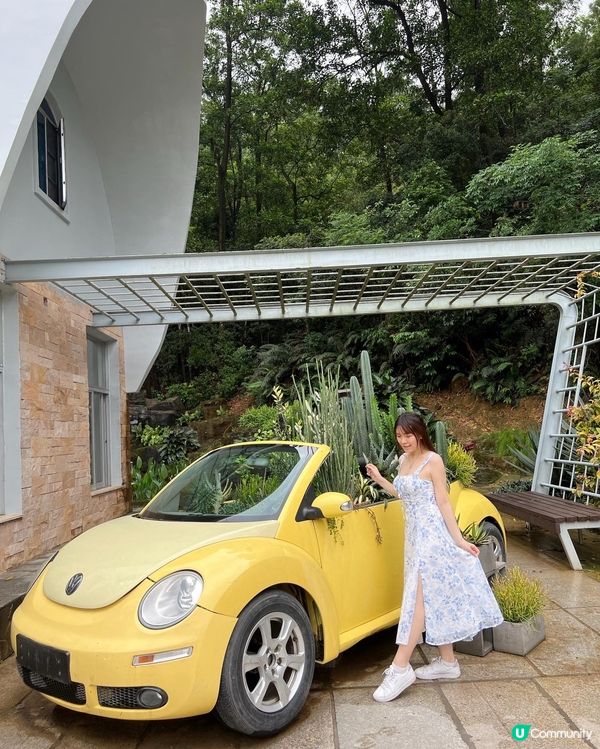 💚深圳仙湖植物園打卡攻略🌟