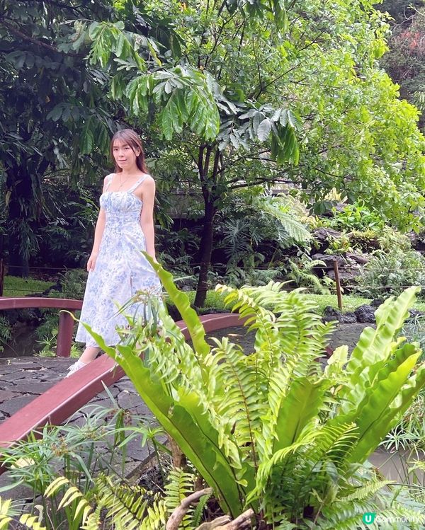 💚深圳仙湖植物園打卡攻略🌟