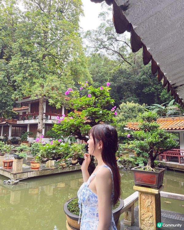 💚深圳仙湖植物園打卡攻略🌟