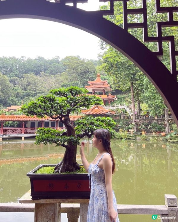 💚深圳仙湖植物園打卡攻略🌟