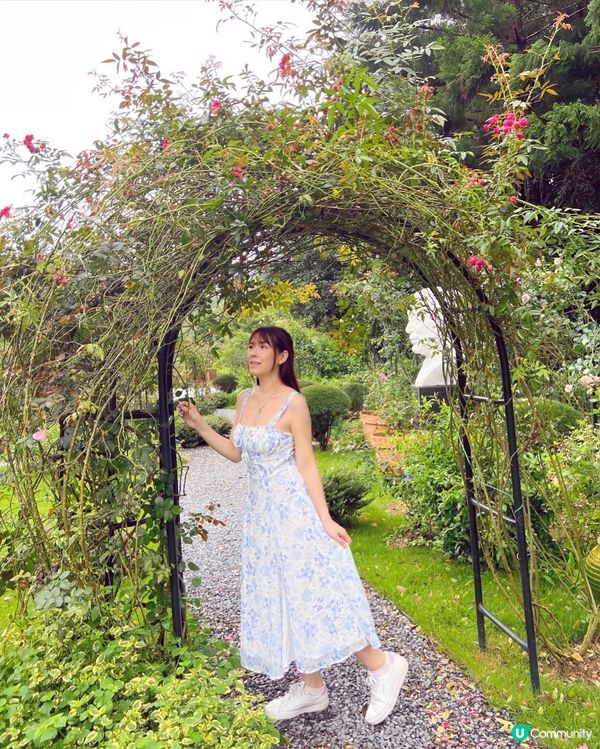 💚深圳仙湖植物園打卡攻略🌟