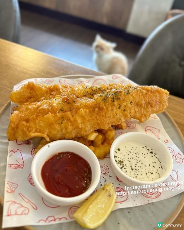 有貓店長駐場 🐱 三層高渡假風海景cafe