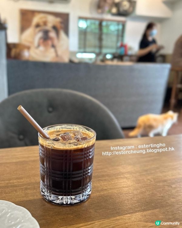 有貓店長駐場 🐱 三層高渡假風海景cafe