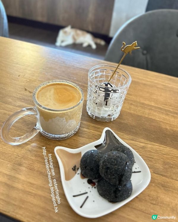 有貓店長駐場 🐱 三層高渡假風海景cafe