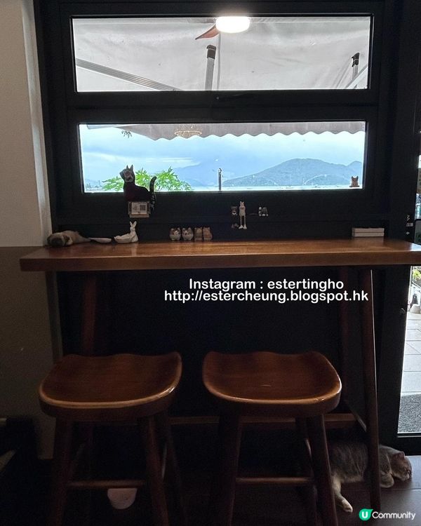 有貓店長駐場 🐱 三層高渡假風海景cafe