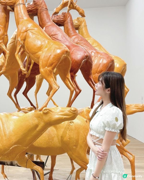 「布魯斯．瑙曼」大型回顧展