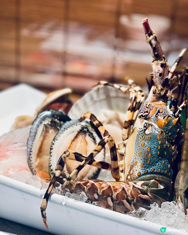 一人一鍋蒸氣火鍋，海鮮新鮮生猛仲識郁‼️😍