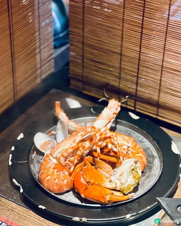 一人一鍋蒸氣火鍋，海鮮新鮮生猛仲識郁‼️😍