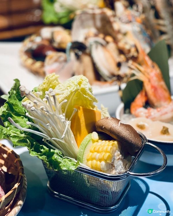 一人一鍋蒸氣火鍋，海鮮新鮮生猛仲識郁‼️😍