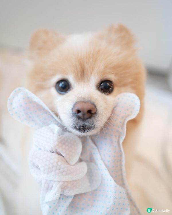 免沖水｜除臭滅菌好幫手｜去完街抹身要靠佢