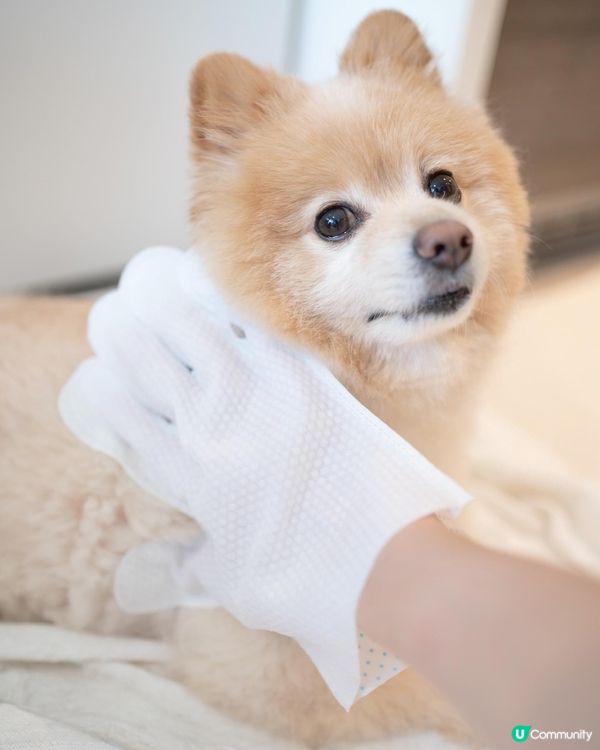 免沖水｜除臭滅菌好幫手｜去完街抹身要靠佢