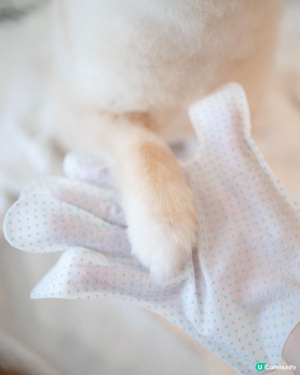 免沖水｜除臭滅菌好幫手｜去完街抹身要靠佢