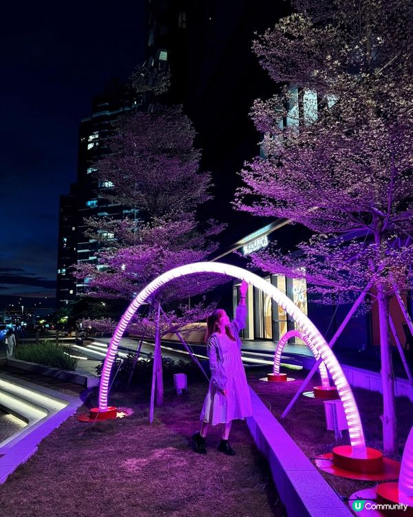 📸 打卡一定要去這𥚃