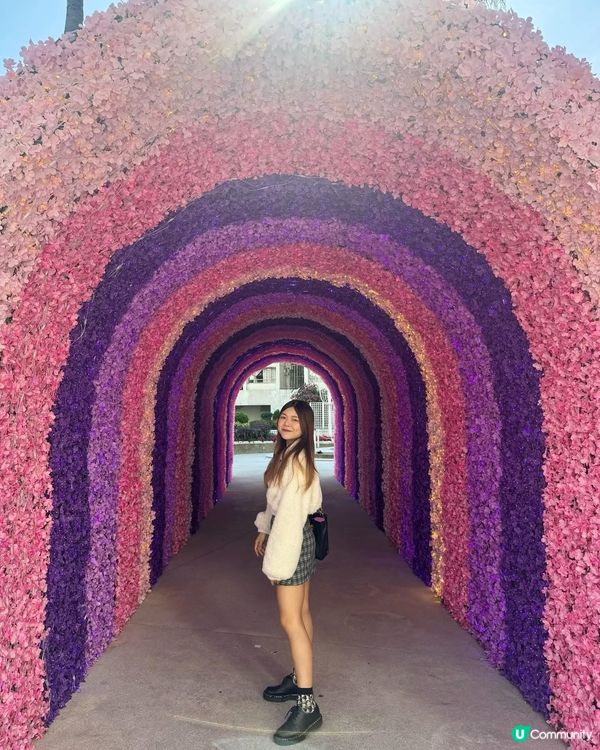 Whampoa Vivid Luminary Fest