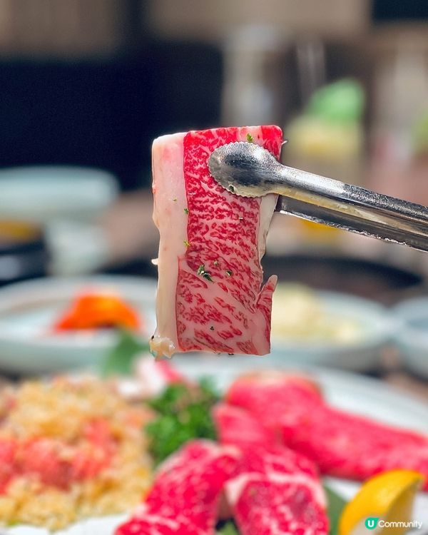 圍方高質🔸宮·  饗宴🔸