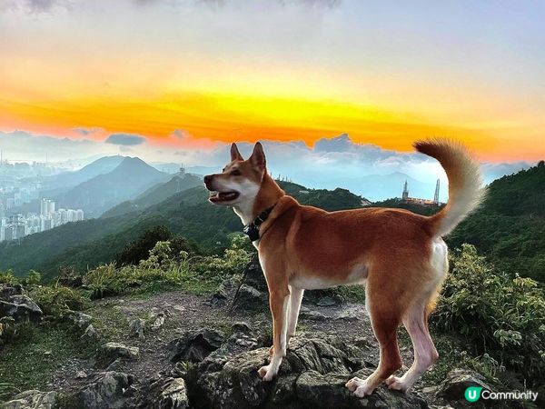 香港其實好靚🥰