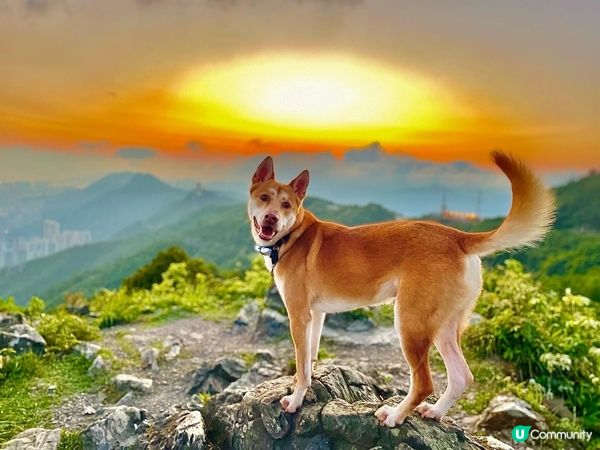 香港其實好靚🥰