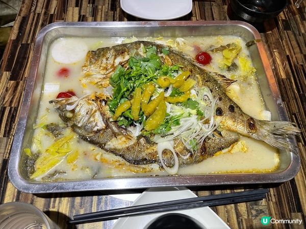 今日約咗個friend落荃灣, 當然要試下荃灣大河道嘅川味雞...