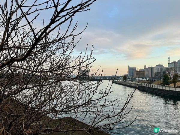 10天9夜 東京之旅