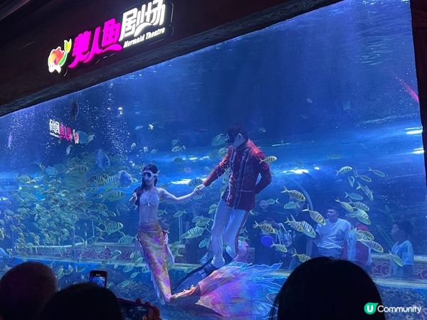 深圳超大型水族館，美人魚劇場