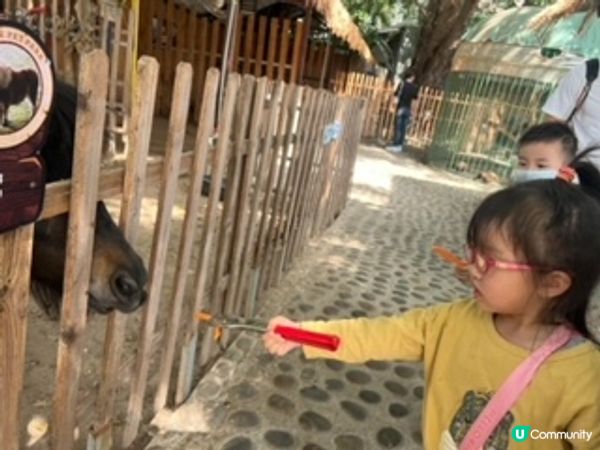 深圳超大型水族館，美人魚劇場