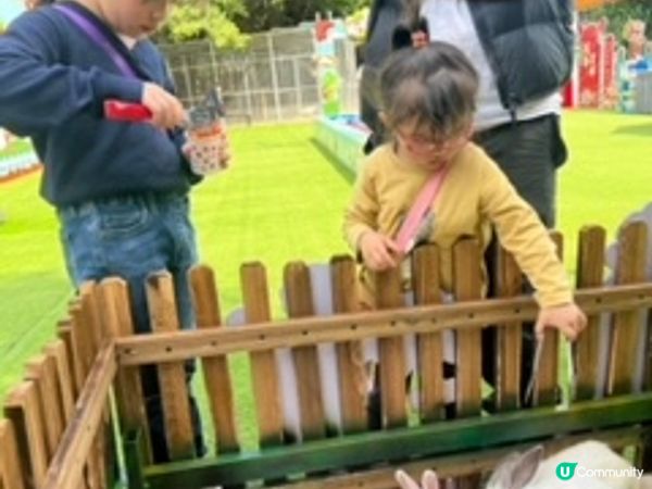 深圳超大型水族館，美人魚劇場