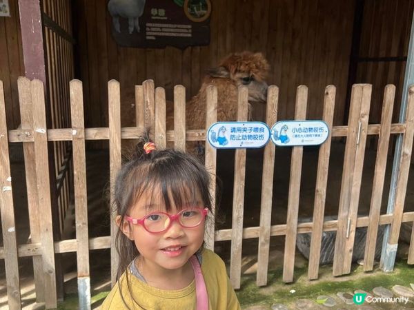 深圳超大型水族館，美人魚劇場