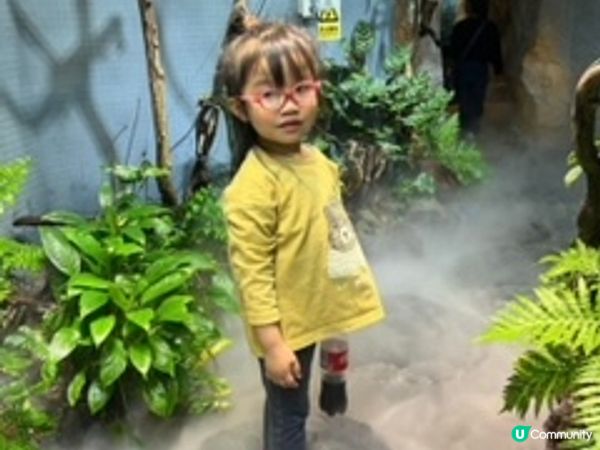 深圳超大型水族館，美人魚劇場